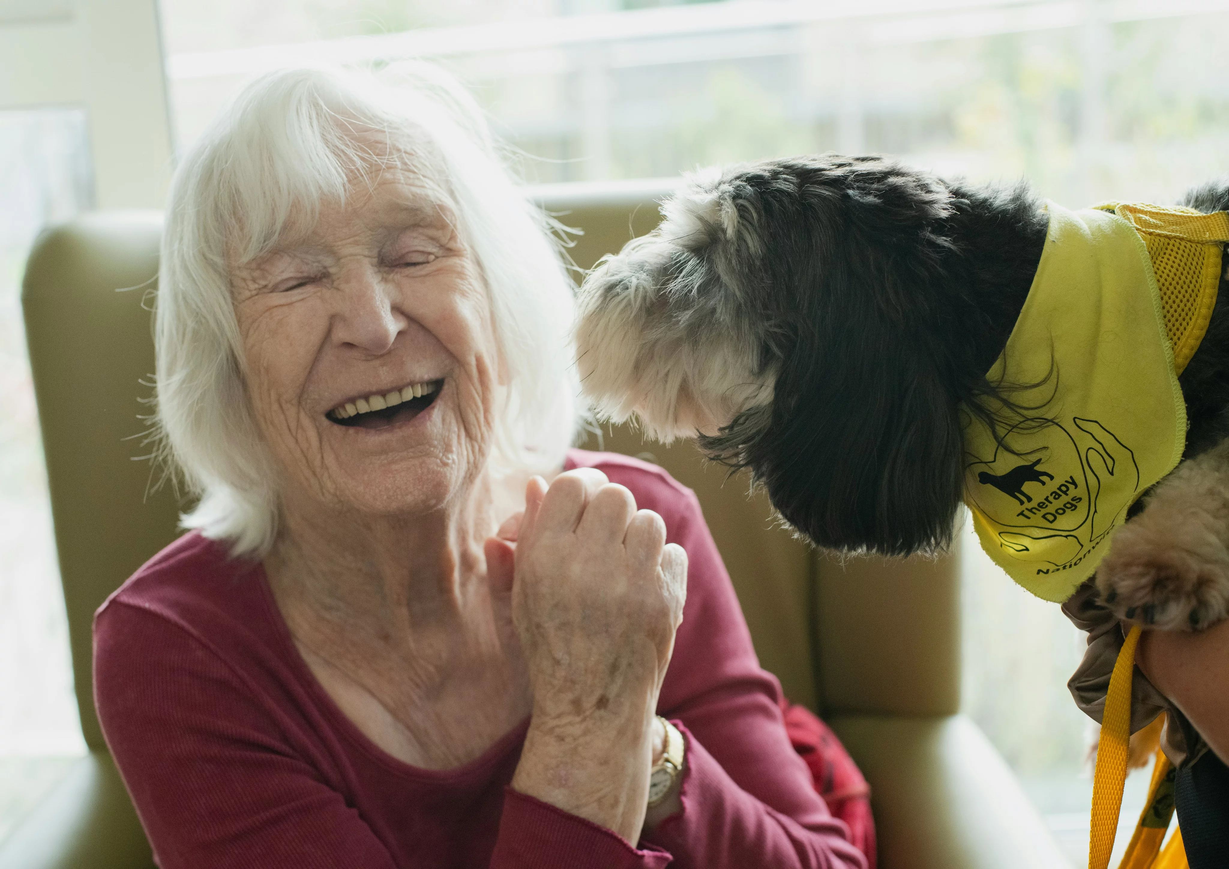Eine Seniorin wird auf der Wange von einem kleinen Hund mit der Nase angestupst. Sie ist sichtlich erfreut über die Interaktion.