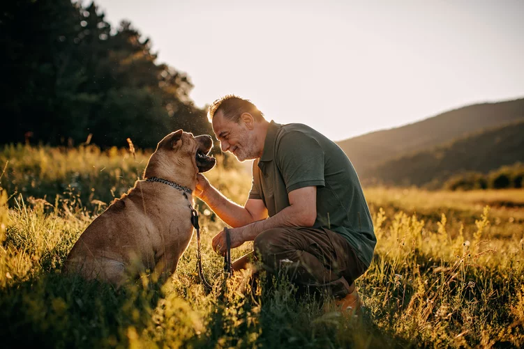 Ein Mann kniet im Sonnenuntergang vor seinem Hund im hohen Gras. Beide schauen einander an und der Mann lächelt glücklich. iStock.com/supersizer